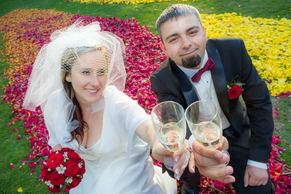 Ünnepli egy esküvő, a fiatal pár — Stock Fotó