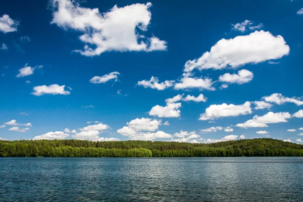 Sunny day at the lake in national park — Stock Photo, Image