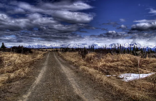 Polnej drodze w wiejskich alaska — Zdjęcie stockowe