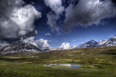 View near Hatcher Pass Alaska clipart