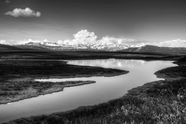 白と黒のアラスカの荒野 — ストック写真