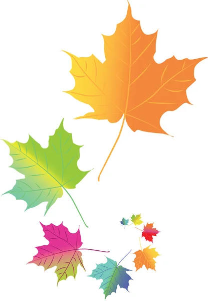 Autumn color leafs in space — Stock Vector