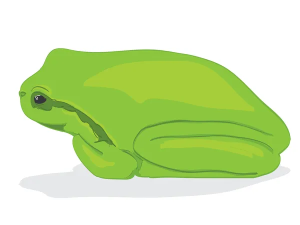 Tree-frog — Stockový vektor
