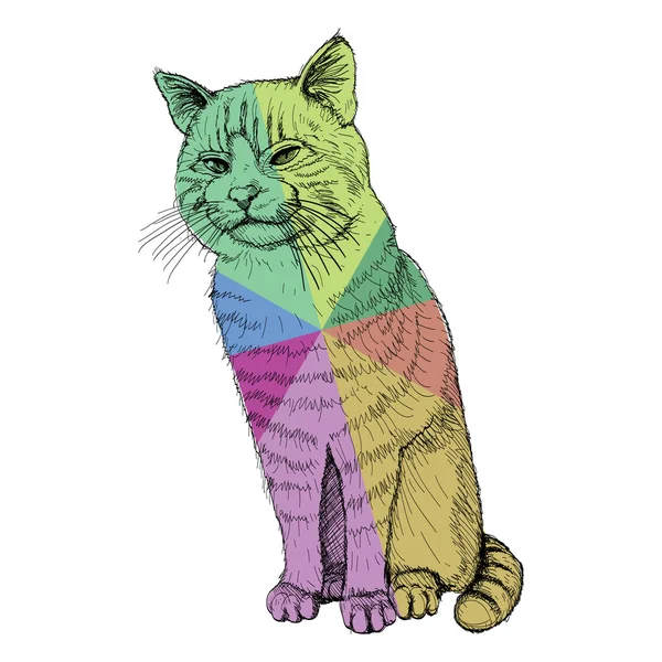 Gato multicolor sobre blanco — Vector de stock