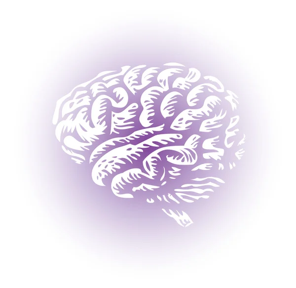 全体の人間の脳 — ストック写真