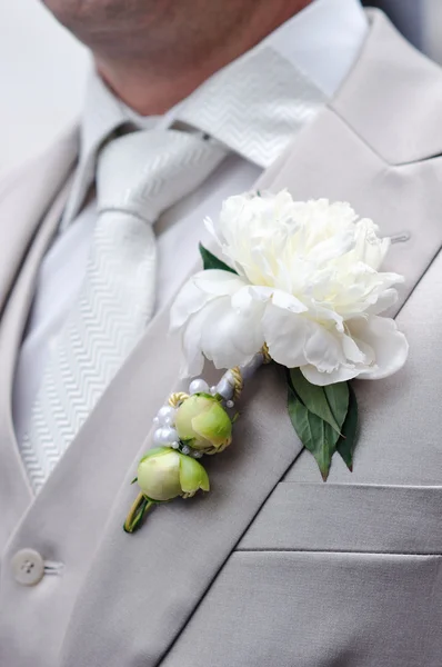 Bruidegom bloem — Stockfoto