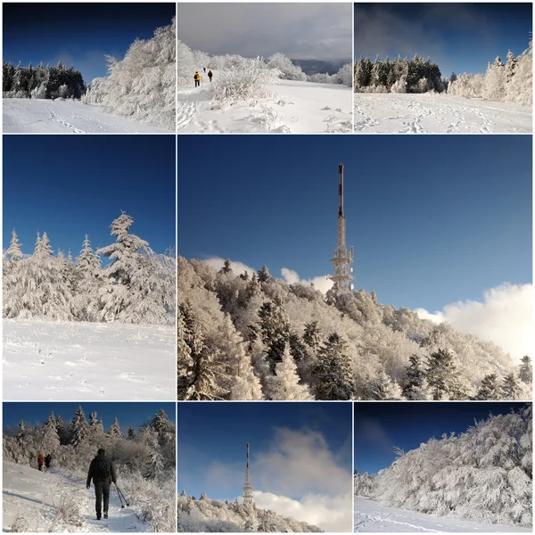 Vários paisagem de inverno - coleção 8 imagens — Fotografia de Stock