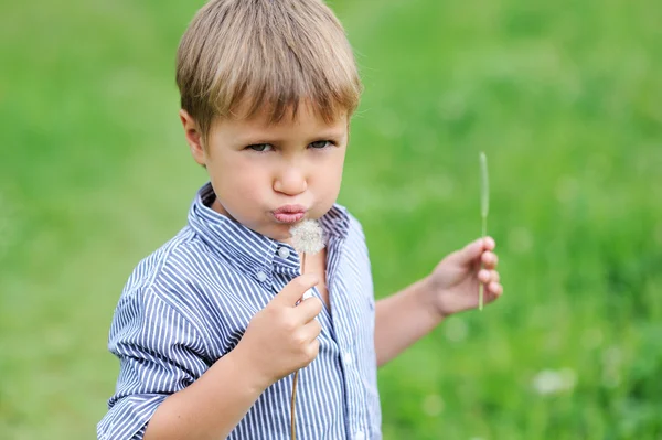 Jovem menino soprando dente-de-leão — Fotografia de Stock