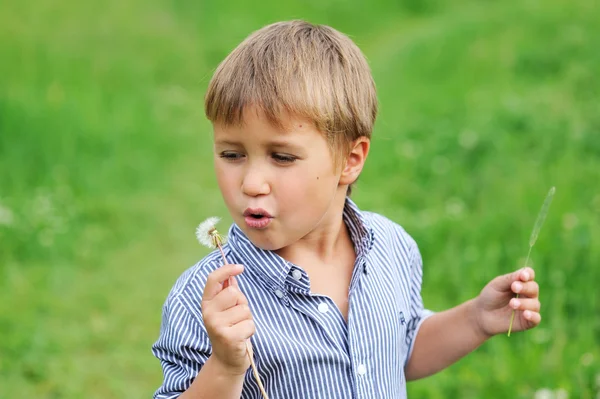 Jovem menino soprando dente-de-leão — Fotografia de Stock