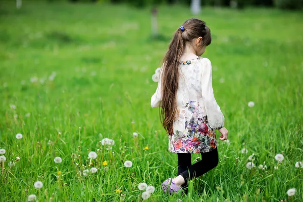 Kind meisje paardebloemen verzamelen op veld — Stockfoto