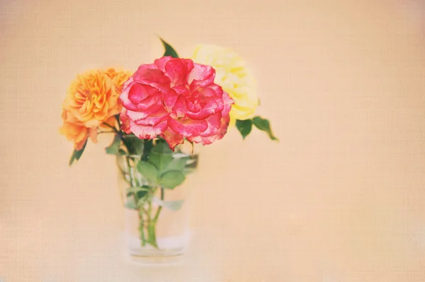 stock image Textured photo of garden roses in a glass