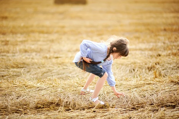 Маленька дівчинка збирає соломинки на полі — стокове фото