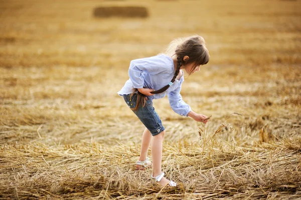 Kleines Mädchen sammelt Strohhalme auf Feld ein — Stockfoto