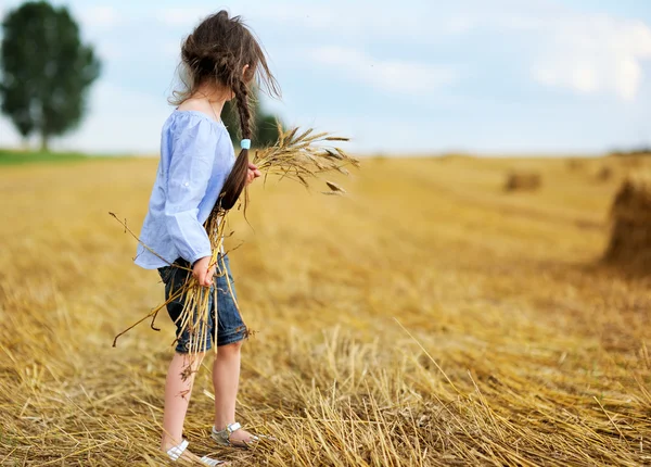 Little girl holding bunch of wheat spikelet — Stock Photo, Image