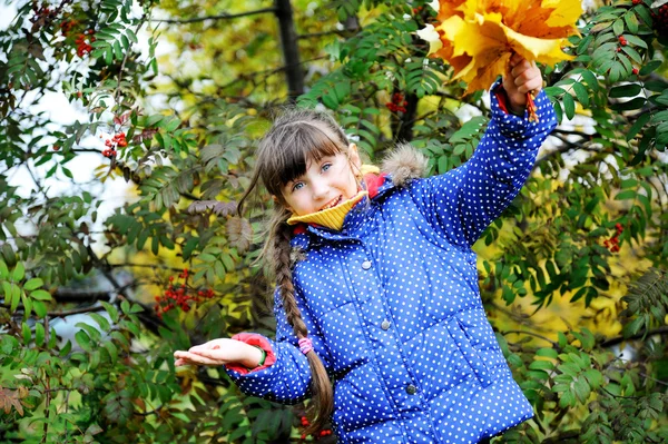 Little girl in blue coat happy with maple leaves — Stock Photo, Image