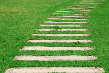 Stone path through a green grassy lawn clipart