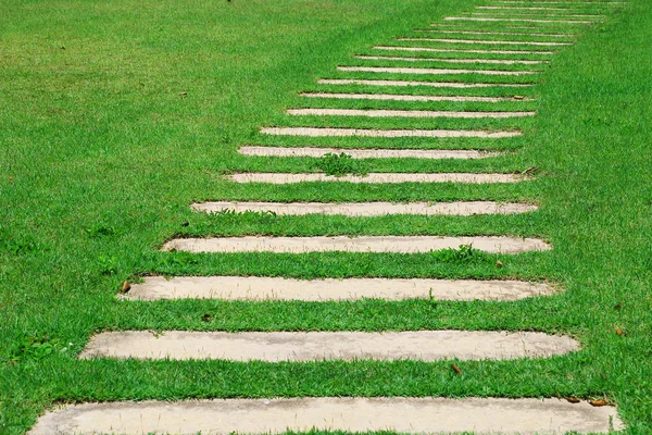Steinweg durch eine grüne Rasenfläche — Stockfoto