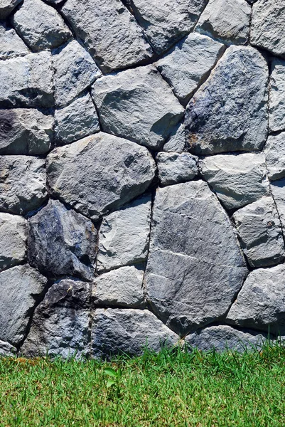 草と石の壁 — ストック写真
