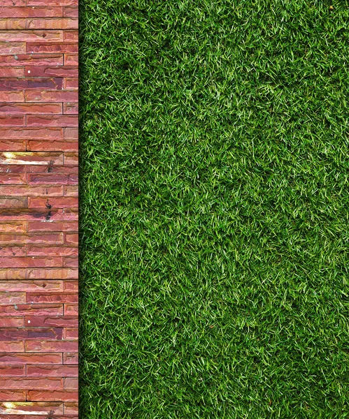 Muur achtergrond op groen gras — Stockfoto