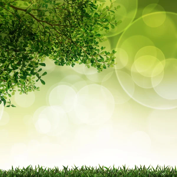 Arka plan ile seçici odak bırakın ve çimen yeşil — Stok fotoğraf