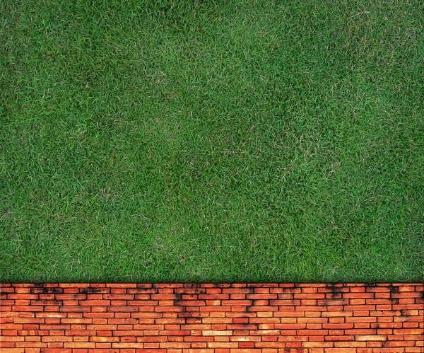 Vägg bakgrund på grönt gräs — Stockfoto