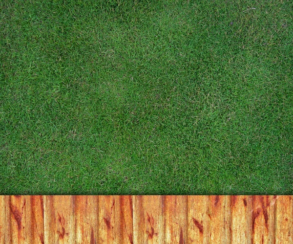 Fundo de parede na grama verde — Fotografia de Stock