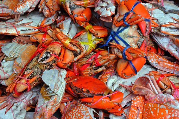 stock image Fresh Crab in the market