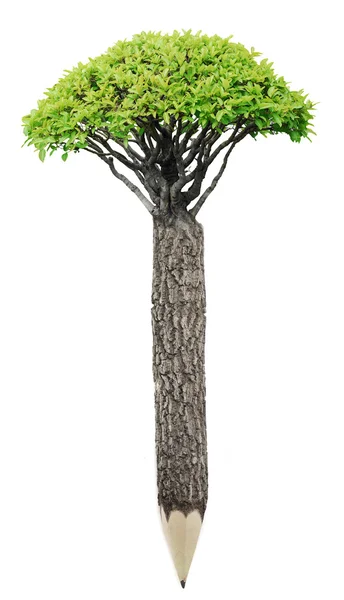 Ołówek materiału drewna ze świeżych liści. koncepcja Zielona planeta — Zdjęcie stockowe