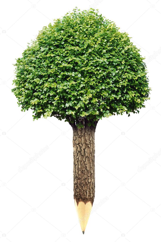 Wooden pencil with Tree on white background