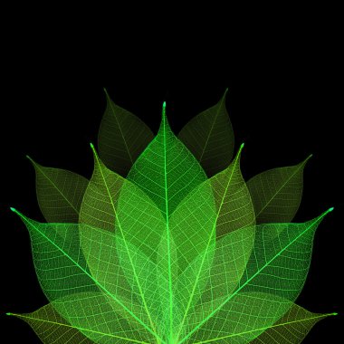 Skeleton leaf abstract background clipart