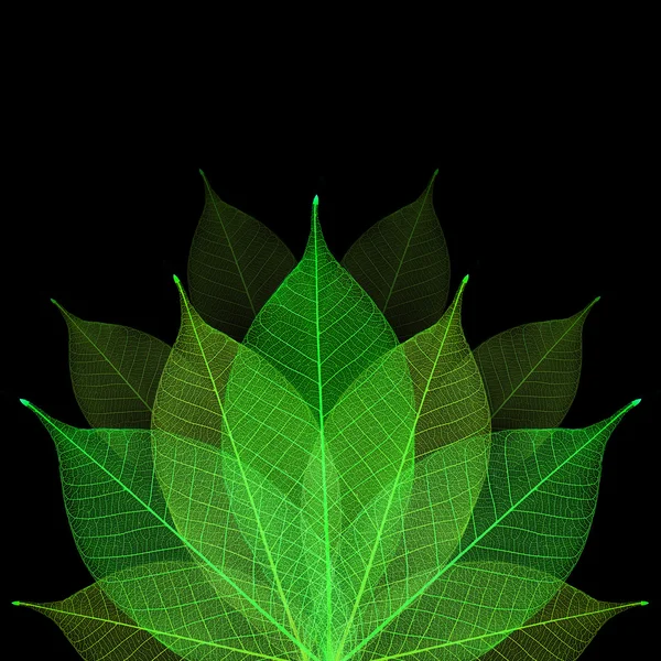 stock image Skeleton leaf abstract background