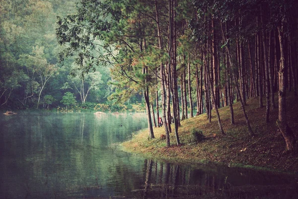 Skogen bakgrund, vintage stil — Stockfoto