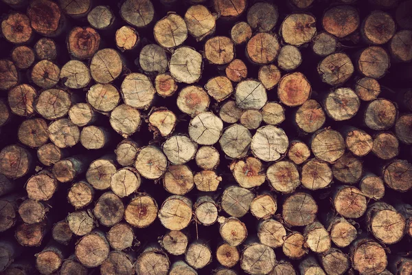 stock image Wood material background for Vintage wallpaper