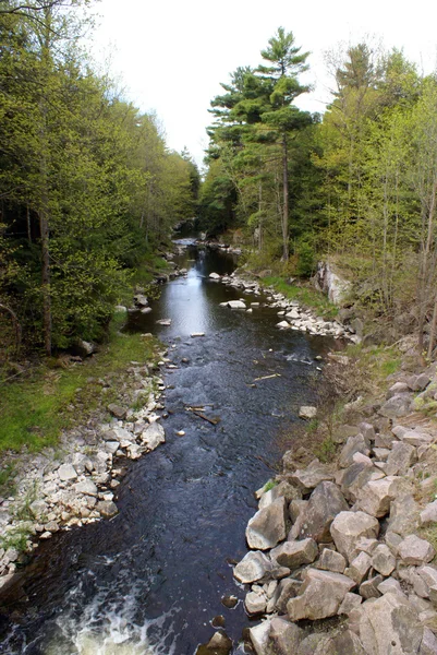 Natuurlijke creek — Stockfoto