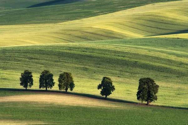Avrupa kırsal — Stok fotoğraf