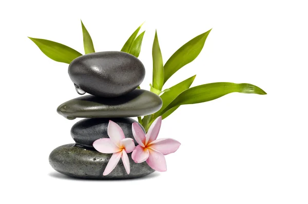 Spa still life with flowers and green leafs — Stock Photo, Image