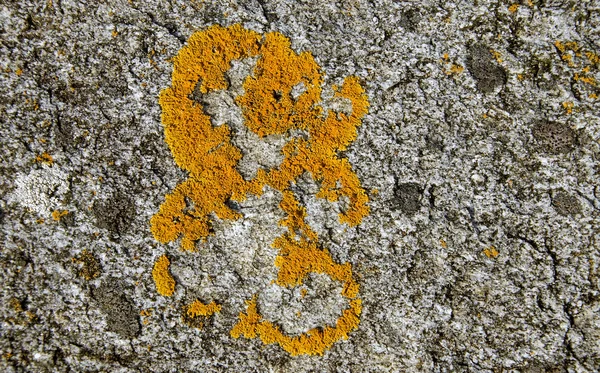 Żółty mech formacji — Zdjęcie stockowe