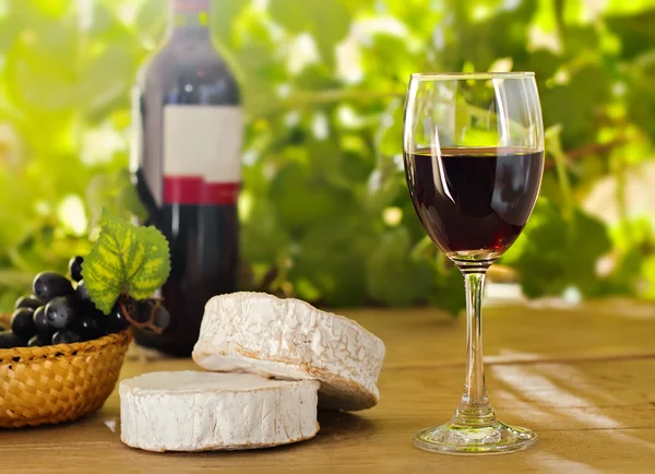 Červené víno, brie, camembert a hroznů na stůl — Stock fotografie