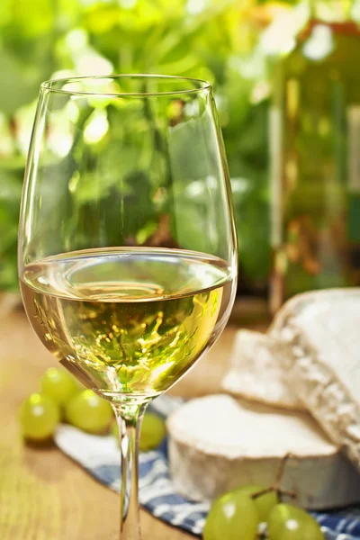 Bílé víno, brie, camembert a hroznů — Stock fotografie