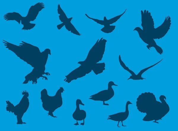 Blaue Vögel — Stockvektor