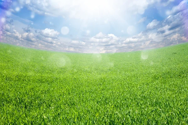 Grönt fält, blå himmel — Stockfoto