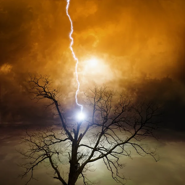 Árvore atingida por um raio — Fotografia de Stock