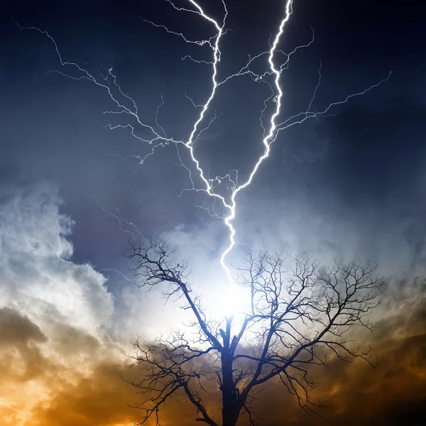 闪电击伤树木 — 图库照片