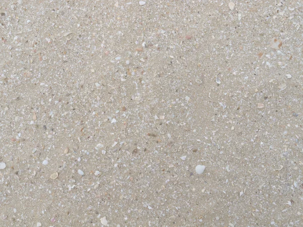 Sand and seashell — Stock Photo, Image