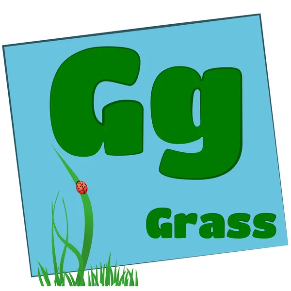 G-gräs/färgglada alfabetet bokstäver — Stockfoto