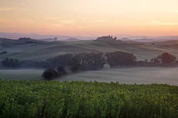 Bela vista da paisagem da Toscana — Fotografia de Stock