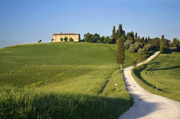 Красивый вид на ландшафт в tuscany — стоковое фото