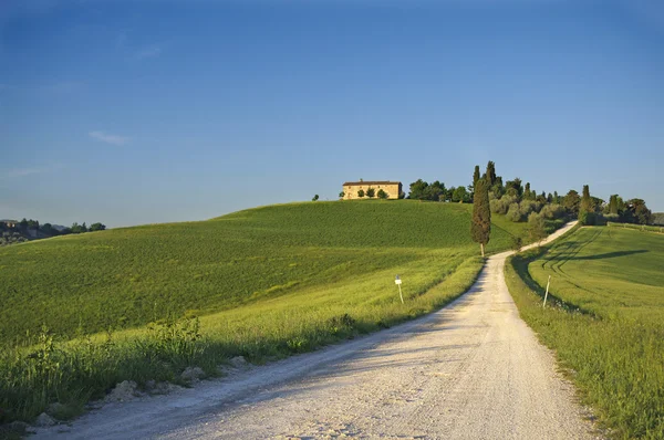 Krajobraz w Toskanii — Zdjęcie stockowe