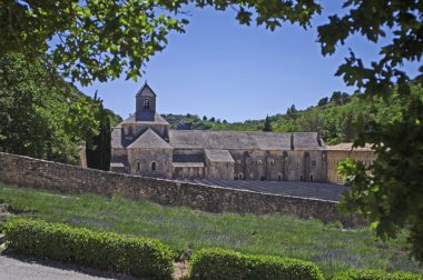 Abbey of Senanque,Provence,France clipart