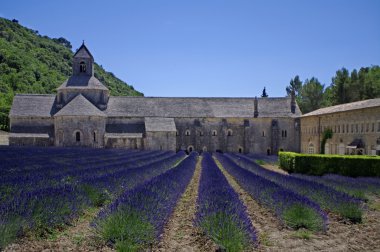 Abbey, senanque, provence, Fransa